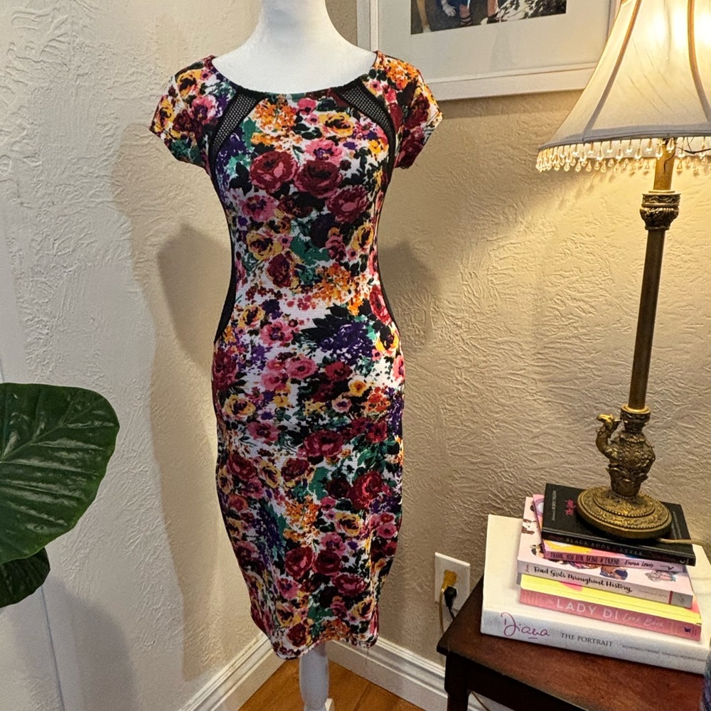 Sexy Dress with Mesh Details